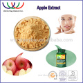 free sample ! herbal extraction pyrus malus apple fruit extract /malus domestica extract / apple fruit extract / apple extract